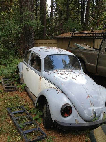 1968 bug, volkswagen, classic vw, sunroof, lowered vw bug,