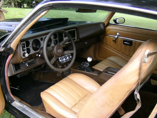 1981 chevy camaro z28, image 7