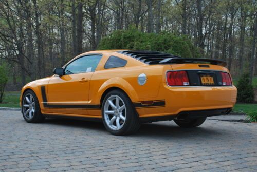 Saleen parnelli jones special edition mustang