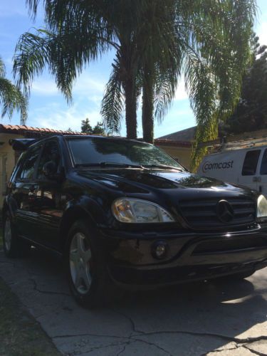 Mercedes Benz ML55 AMG 5.5L 2001, image 19