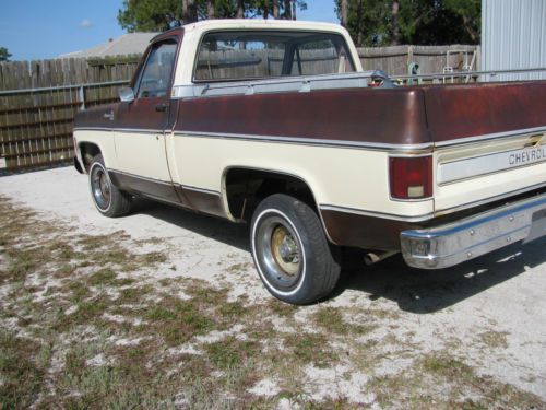 1978 Chevy C10 P/U-SWB-99% rust free, image 5