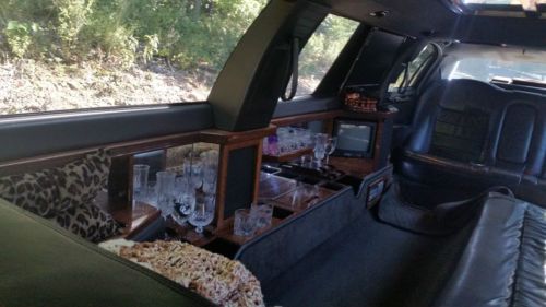 2001 Lincoln Town Car 120 Stretch Limo By DaBryan Coach Builders, image 7