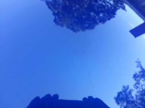 2004 Ford Mustang Base Coupe 2-Door 2008 mustang GT 4.6L 3 valve swap roush kit, US $9,000.00, image 9