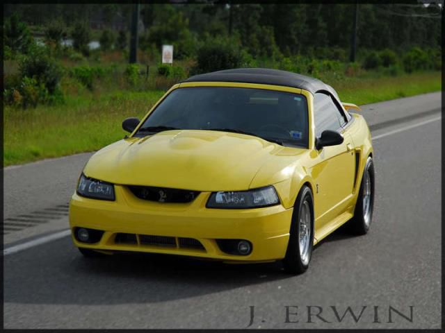 2001 - ford mustang