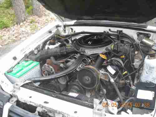 1983 Ford Mustang GLX Convertible 2-Door 3.8 V-6, image 7