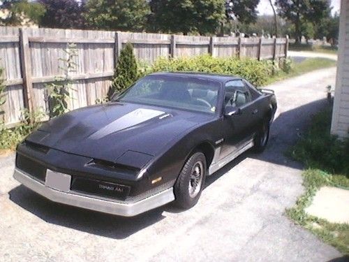 1984 pontiac firebird trans am