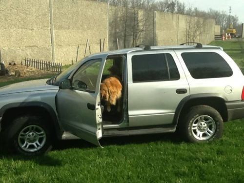 2003 dodge durango slt sport utility 4-door 4.7l