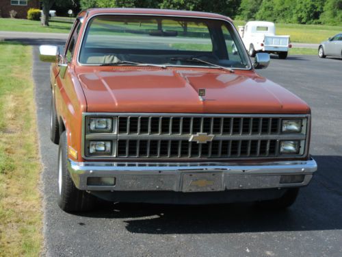 1982 chevy 1/2 ton short bed pickup