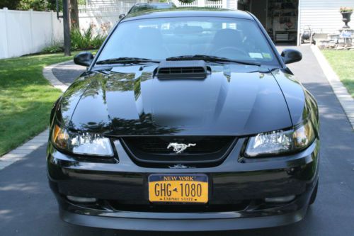 2004 mustang mach 1