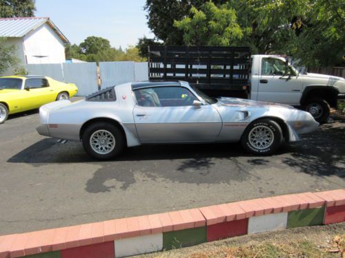 1981 pontiac transam original puchased new owner 69k miles 4.9 turbo auto v8acps