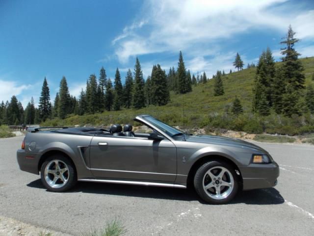 Ford: mustang cobra