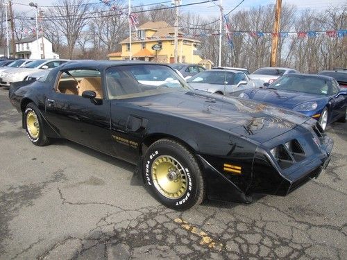 1980 pontiac trans am turbo