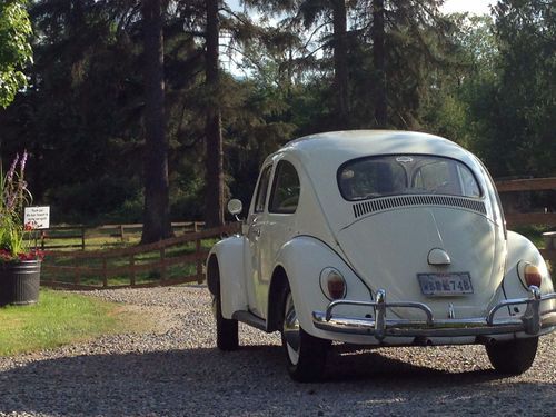 1963 volkswagen beetle base 1.2l