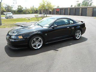 2003 ford mustang mach 1