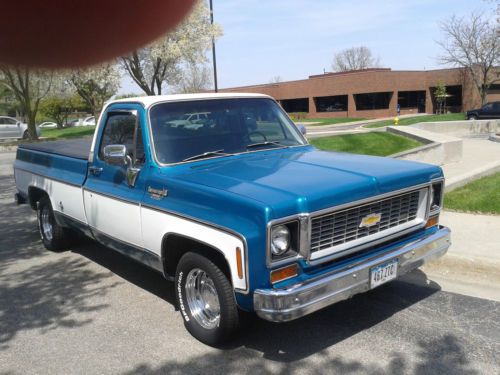 1973 chevy cheyenne 1/2 ton pickup - survivor