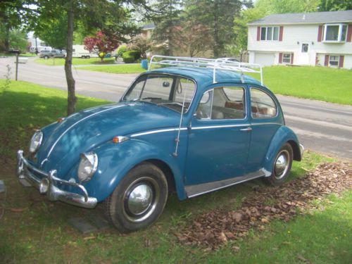 65 vw bug  with sunroof