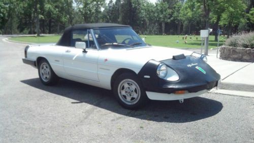 Meticulous and superb! perfect alfa romeo spider veloce all around!