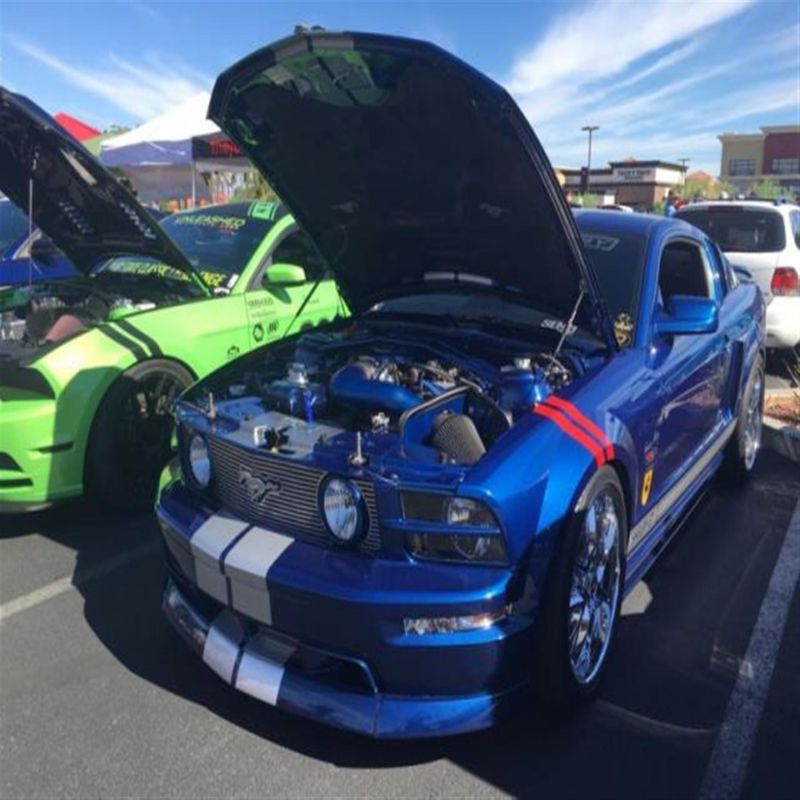 Purchase used Ford Mustang Shelby GT in Hawthorne, Nevada, United