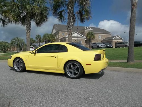 Ford mustang cobra