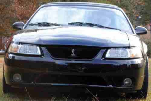 99 SVT COBRA, image 2