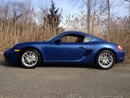 Gorgeous cobalt blue cayman