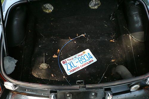 1977 MGB 1800 engine Black, image 10