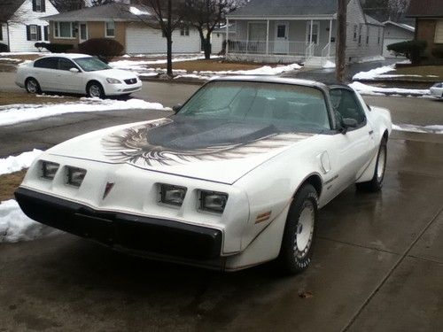 1980 pontiac firebird trans am turbo indy pace car daytona **no reserve**