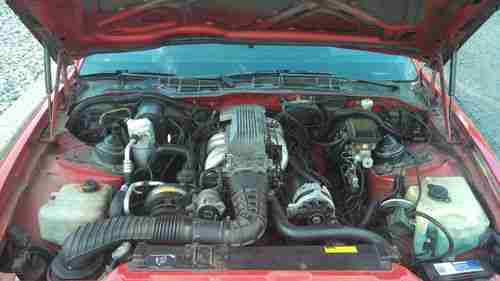 Trans Am 5.0L TPI, 5-Speed, Posi, Custom Exhaust, recent paint T-Tops GTA Wheels, image 10