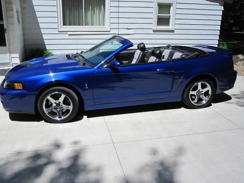 2003 ford mustang svt cobra **sonic blue** convertible