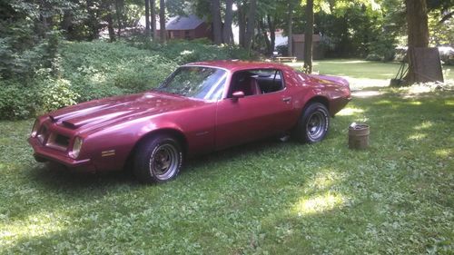 1974 pontiac firebird formula coupe 2-door 6.6l