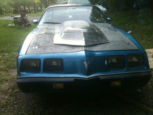 81 pontiac trans am  project car