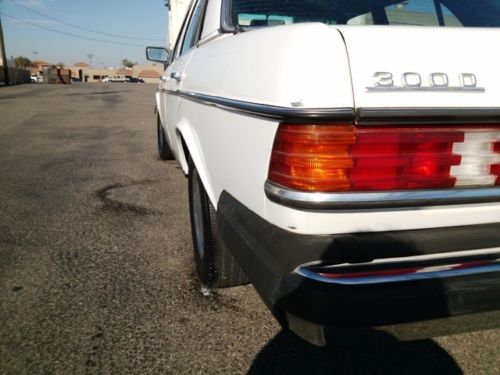 1981  MERCEDES  300D  "NO  RESERVE", image 2
