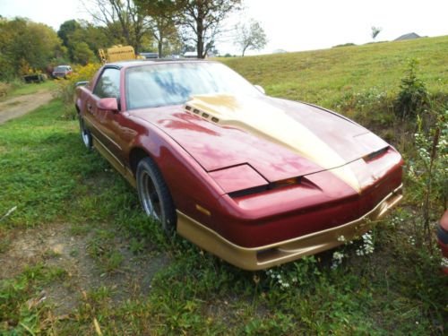1989 pontiac firebird trans am gta coupe 2-door 5.0l
