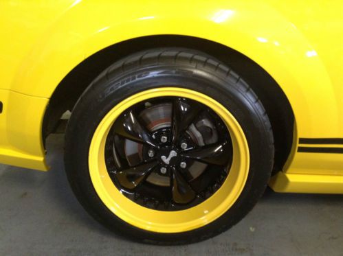 2005 Ford Mustang GT Coupe 2-Door 4.6L, image 10