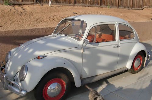 1966 vw bug