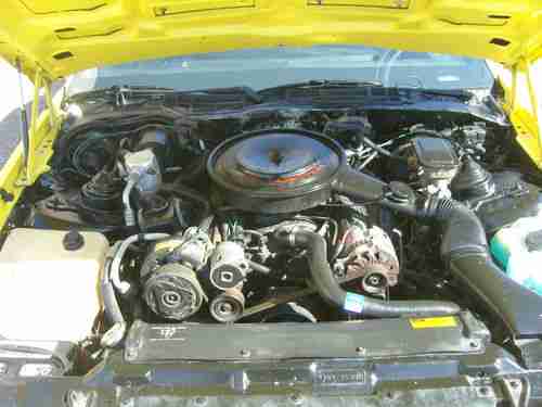 1989 Chevrolet Camaro Iroc-Z28 Convertible 2-Door 5.0L 92K VERY RARE COLOR, image 21