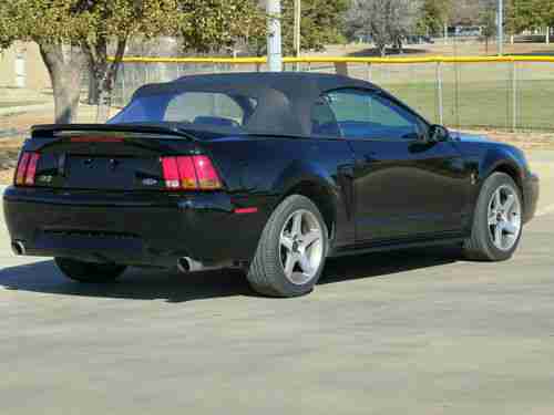 1999 Ford Mustang SVT Cobra Convertible 2-Door 4.6L, image 5