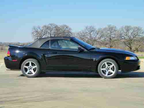 1999 Ford Mustang SVT Cobra Convertible 2-Door 4.6L, image 6