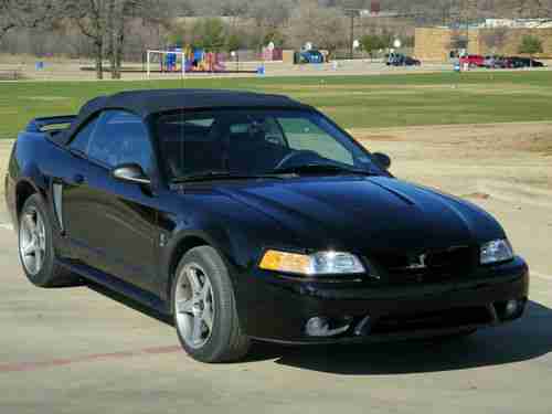 1999 Ford Mustang SVT Cobra Convertible 2-Door 4.6L, image 7
