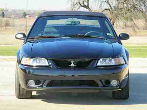 1999 Ford Mustang SVT Cobra Convertible 2-Door 4.6L, image 8