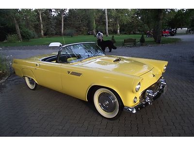 BEAUTIFUL - RARE 1955 THUNDERBIRD GOLDENROD YELLOW ROADSTER, US $29,000.00, image 2