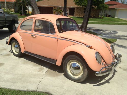 1965 volkswagen beetle classic