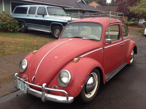 1965 volkswagen beetle