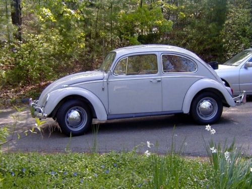 Classic vw beetle/bug fully restored sun roof turn-key maynard, mass needs zero