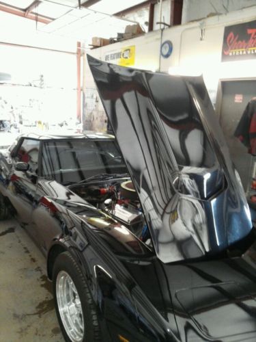 1980 chevrolet corvette race/street car, image 4