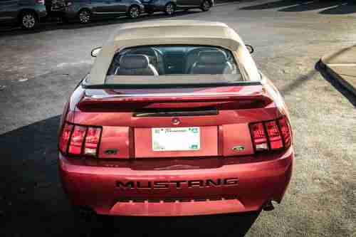 2000 Ford Mustang GT Convertible Leather Red Premium 5 Speed Automatic Power Sea, image 4