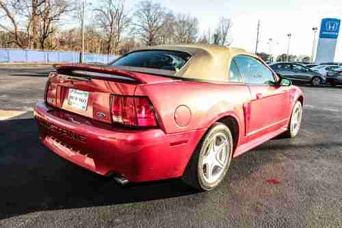 2000 Ford Mustang GT Convertible Leather Red Premium 5 Speed Automatic Power Sea, image 5