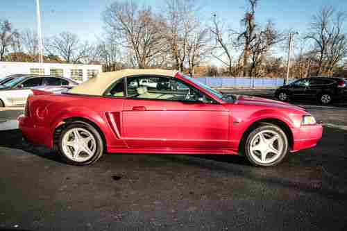 2000 Ford Mustang GT Convertible Leather Red Premium 5 Speed Automatic Power Sea, image 6