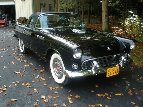 1955 ford thunderbird convertible