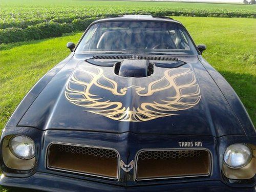 1976 pontiac firebird trans am y82 special edition t-tops